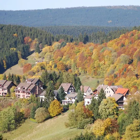 Hexe Mit Komfort **** Apartment *